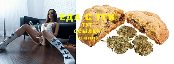 дживик Тайга